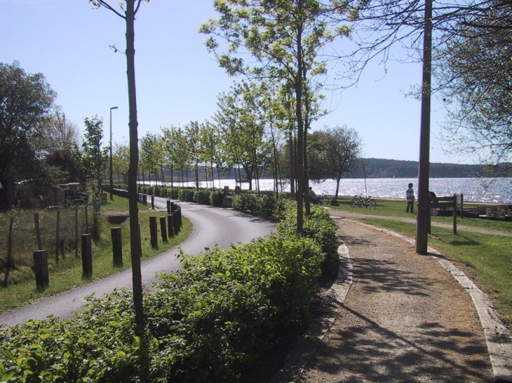 Promenade au bord du Lac - Aureilhan