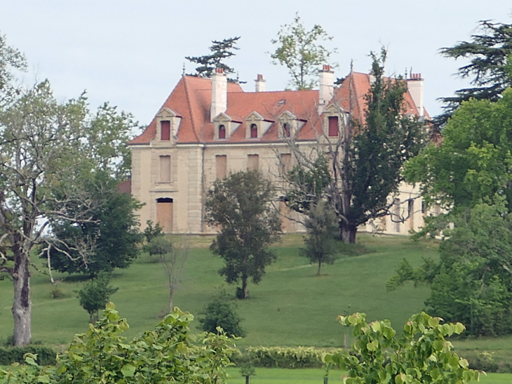 Château - Mauvezin-d'Armagnac