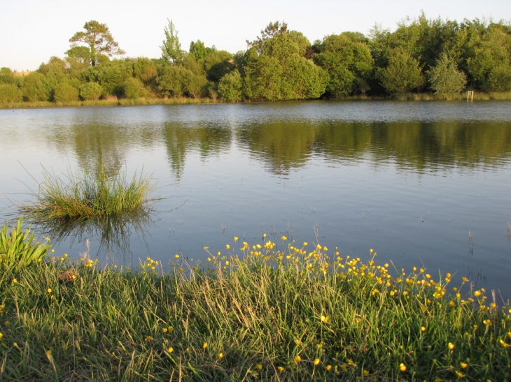 Maylis : un paysage parsemé d'étangs