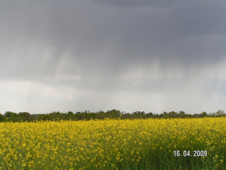 Maylis : orage sur les champs de colza