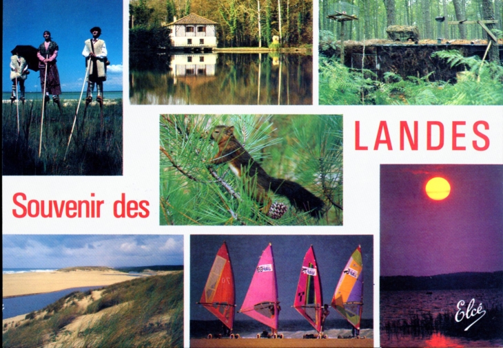 Souvenir des Landes (carte postale de 1990). - Mont-de-Marsan