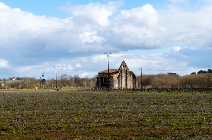 Eglise Saint-Martin d'Espérous : au nord de la commune, elle apparaît sur une petite butte. - Parleboscq