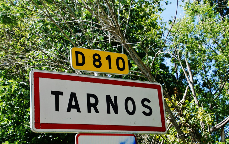  - Tarnos