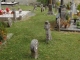 Camou-Cihigue (64470) à Cihigue: stèles basques au cimetière