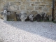 Charritte-de-Bas (64130) vieilles stèles basques