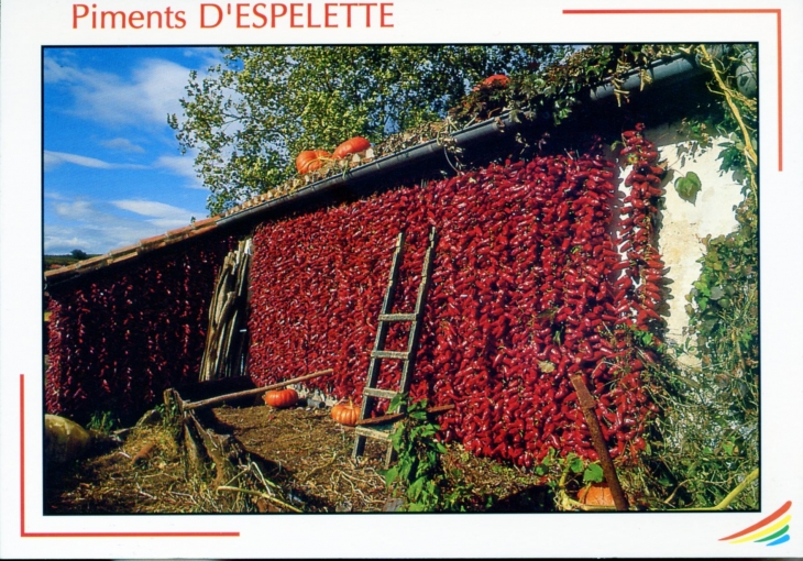 Séchage du piment sur la façade de la ferme de Septembre à Décembre. - Espelette