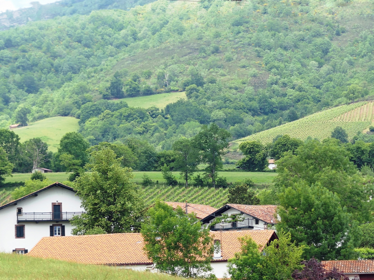 Vignoble et montagne au dessus du village - Irouléguy