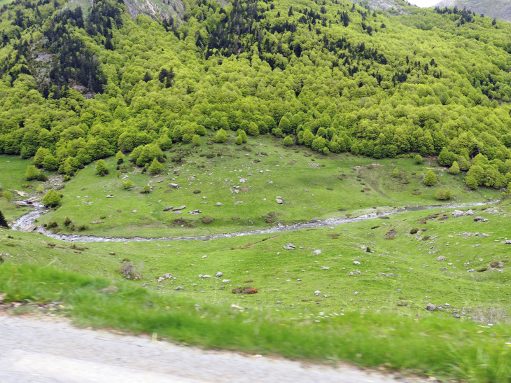 Vallée d'Ossau vers l'Espagne :  le gave de Brousset - Laruns