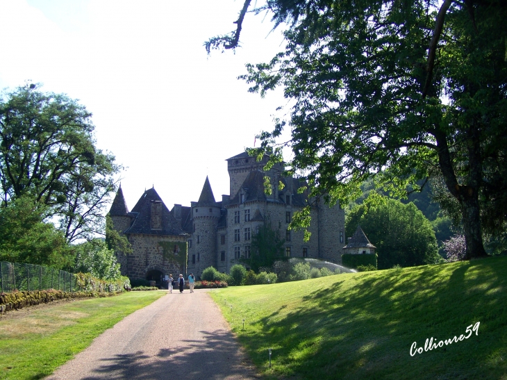 Chateau de Pesteils - Polminhac