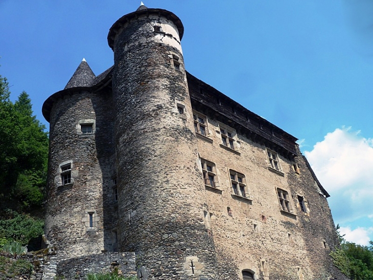 Le château - Vieillevie