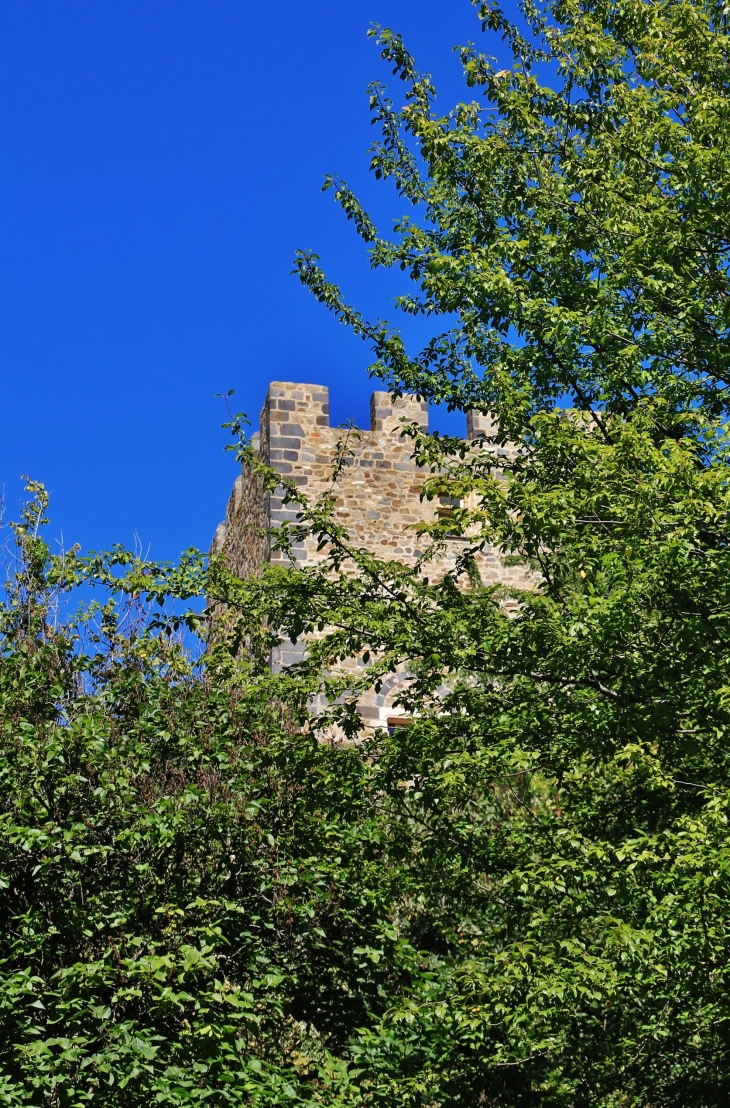  Château de Montaigut-le-Blanc