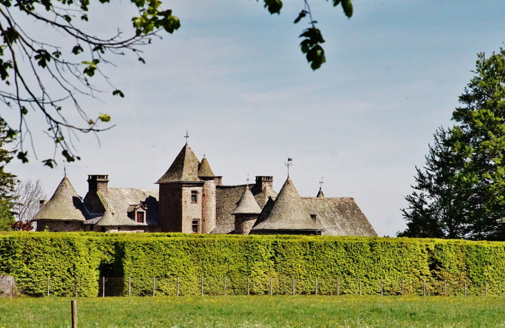 Le Château - Orcival