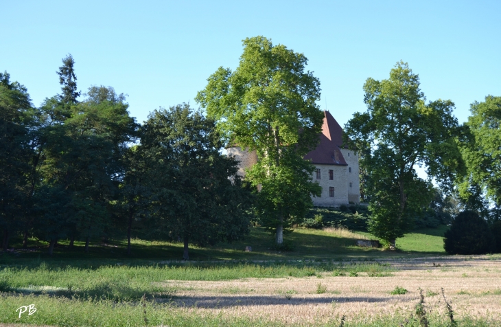 Château de la Poivrière ( 14/15 Em Siècle )  - Saint-Sylvestre-Pragoulin