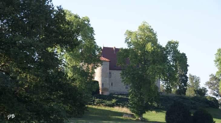 Château de la Poivrière ( 14/15 Em Siècle )  - Saint-Sylvestre-Pragoulin