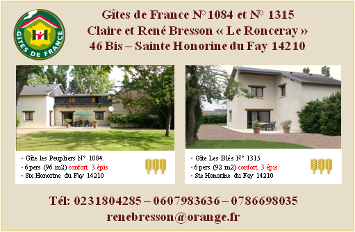 GÏTES DE FRANCE carte de visite Rene Bresson Sainte Honorine du Fay - Caen