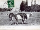 Photo suivante de Caen La prairie, vers 1913 (carte postale ancienne).