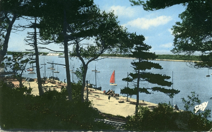 La plage (carte postale de 1960) - Dives-sur-Mer