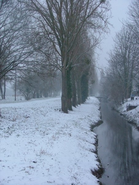 Les berges du Canal sous la neige - Hérouville-Saint-Clair