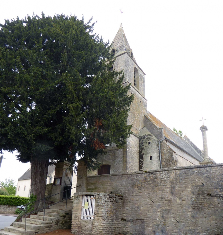L'église - Sainte-Croix-sur-Mer