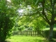 Photo suivante de Sainte-Marguerite-de-Viette Mon jardin du Pays d