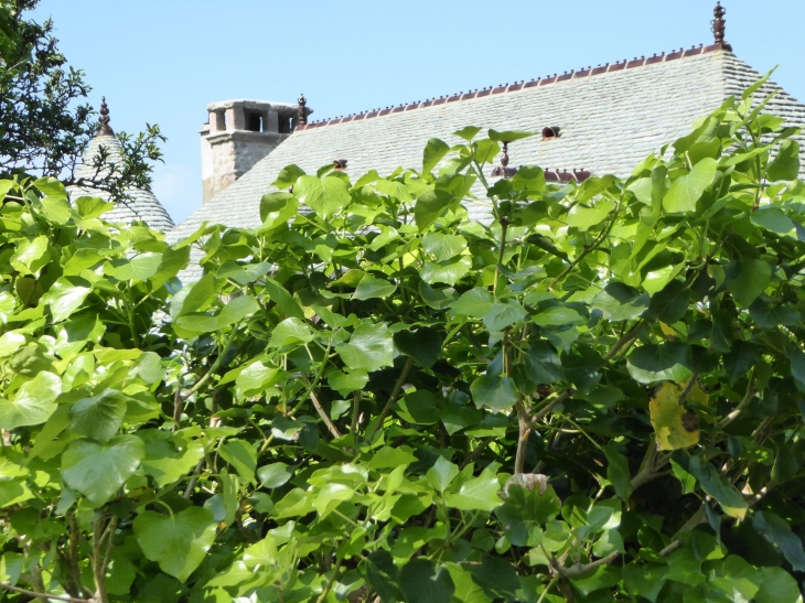 La Roche : toiture restaurée - Auderville