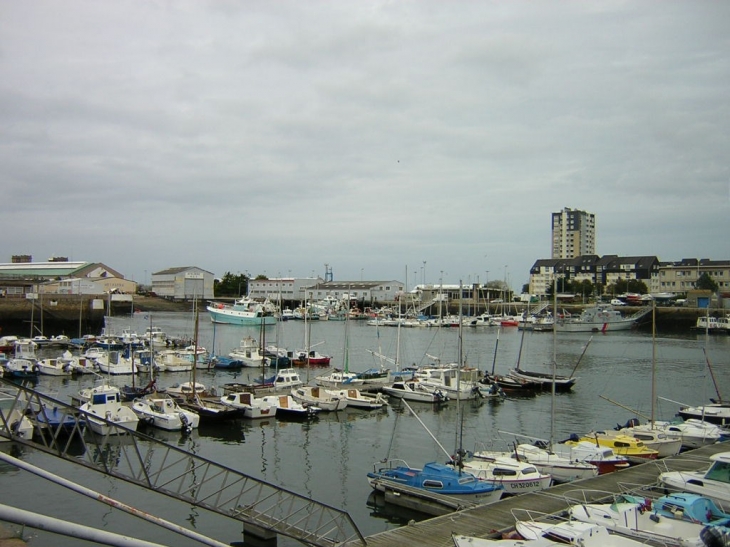 Le Port de plaisance - Cherbourg-Octeville