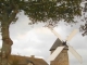 Photo suivante de Fierville-les-Mines le moulin à vent du Cotentin