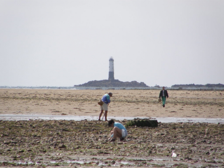 Le phare de Sénéquet et les ramasseurs de coquillages - Gouville-sur-Mer