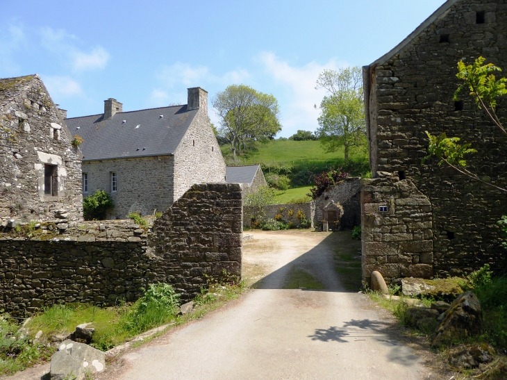 Maisons du village - Omonville-la-Petite