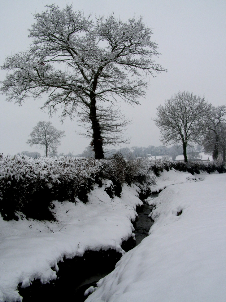 Neige - Saint-Fromond