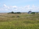 Photo suivante de Saint-Germain-sur-Ay sur les dunes