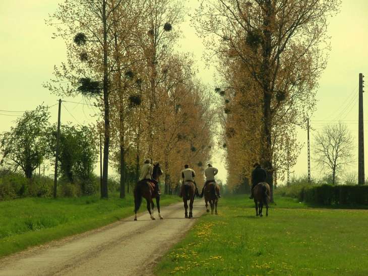 Cavaliers à AVERNES ST. GOURGON - Avernes-Saint-Gourgon
