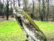 Photo précédente de Giel-Courteilles Le menhir de la Longue Roche