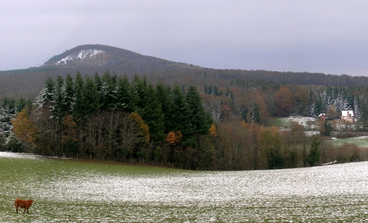 Le Chenil vu de la route de la Charpenterie - La Roche-Mabile