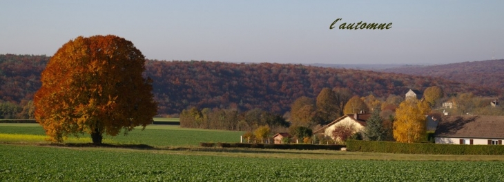 Panorama d'automne - Touillon