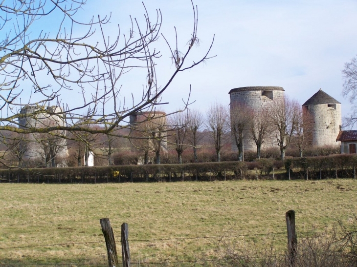 Villaines-en-Duesmois vestiges du château Ducal