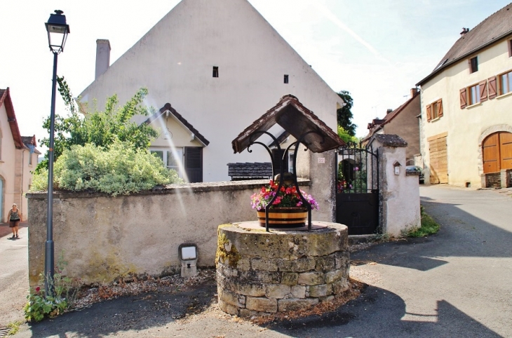 Puits - Cheilly-lès-Maranges