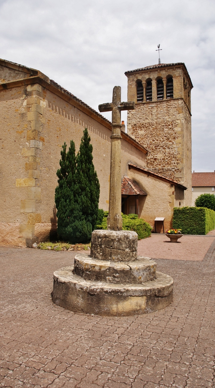 -église Saint-Martin - Saint-Martin-du-Lac
