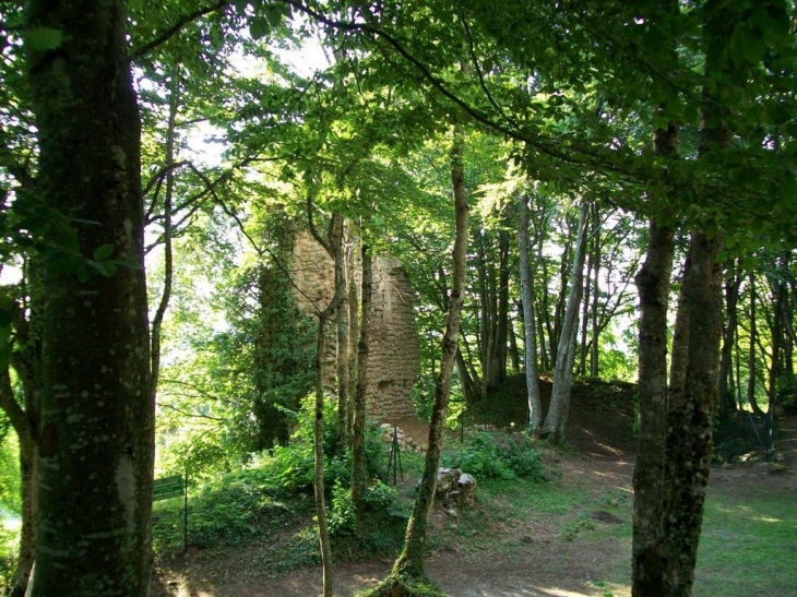 Le vieux château - Uchon