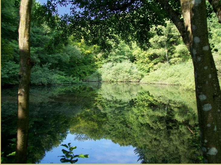 L'étang du moulin - Uchon