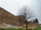 Photo précédente de Joigny Les remparts du 13 e siècle et au loin la guimbarde 
