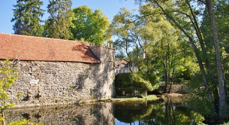 ***Château de Vault-de-Lugny