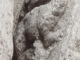 Photo suivante de Villeneuve-sur-Yonne Une salamandre cachée entre deux pilliers de l'église. 