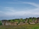 Ruines du Château 