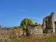 Ruines du Château 