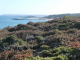 Photo suivante de Erquy l'îlot Saint Michel vue de la falaise
