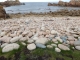 Photo suivante de Île-de-Bréhat île du Nord : la côte de granit rose