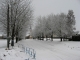 L'avenue des merisiers sous la neige