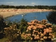 La plage du Trez-Hir (carte postale vers 1960)