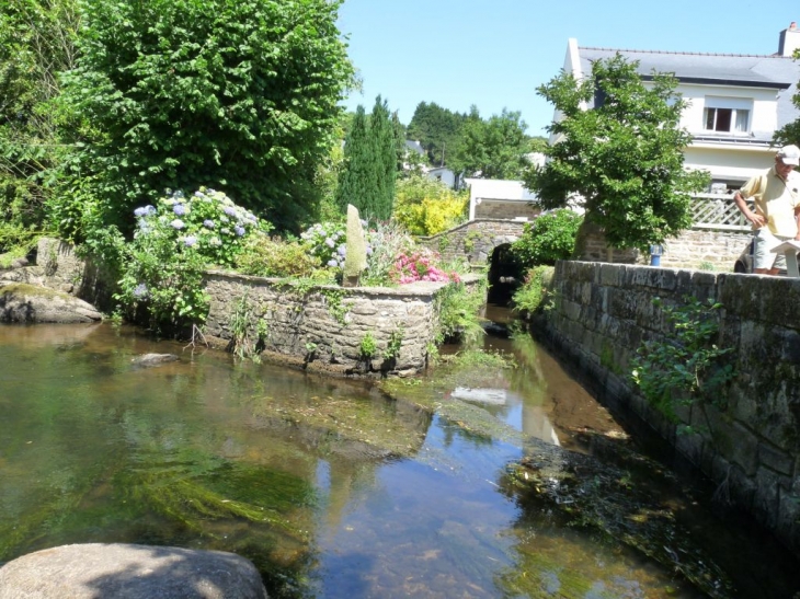 Le long de l'Aven - Pont-Aven